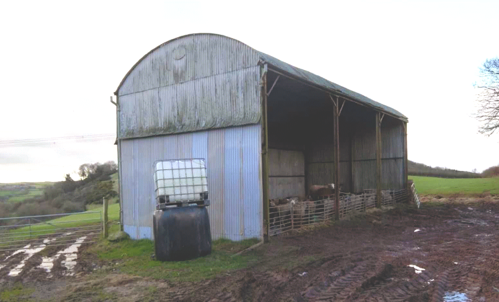 class_Q_blog_first_barn_BRIGHTER.png class_Q_blog_first_barn_BRIGHTER.png